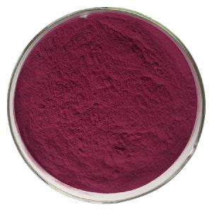 High Quality Mulberry Extract Mulberry Fruit Extract Powder