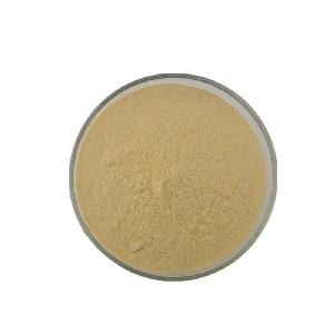 Chinese New Products organic silybum marianum extract powder milk thistle extract powder 80% silymarin milk thistle extract