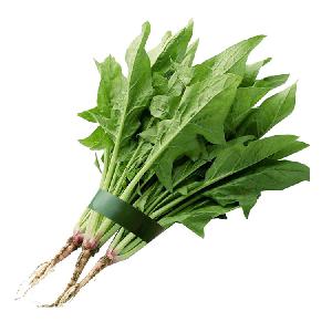 Wholesale in bulk spinach extract powder 10:1 20:1 30:1