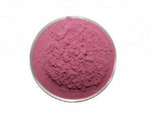 Factory Supply Organic Pomegranate Extract Pomegranate Powder