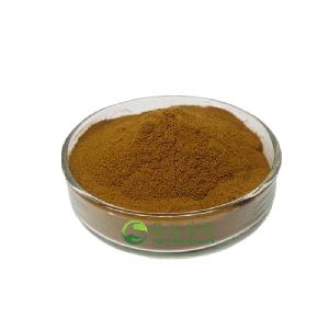 China Herbal medicine for penis enlarge/ fenugreek seed extract / fenugreek extract powder