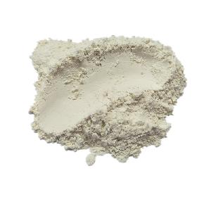 New Crop Dehydrated Onion Powder