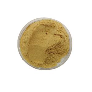 New Crop Dehydrated Carrot Powder Best Price