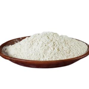 AD Vegetable Dehydrated  Garlic Powder For Best Price
