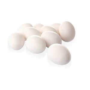 Farm eggs from india