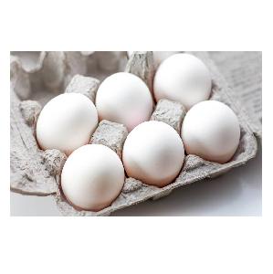  White  Table  eggs  to  export 