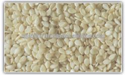 de graines de sesame