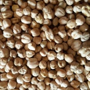 Indian Chick Peas with price
