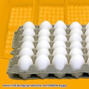  Buy  Quality Eggs