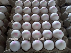 Buy Indian Chicken Eggs