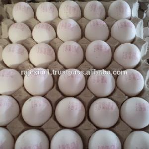 farm fresh chicken eggs from india