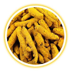 Supply natural turmeric extract