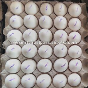 Table White Eggs Exporters from india