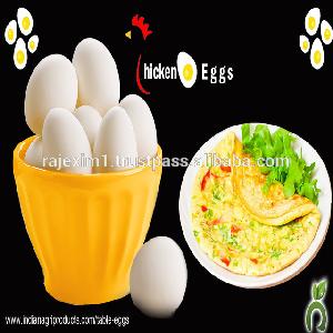 Fresh Quality Egg from India