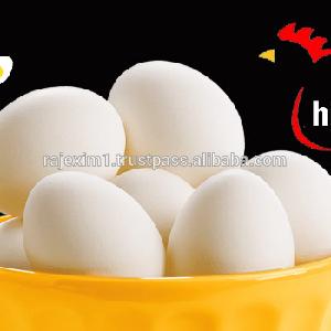 White Shell Table Eggs Price