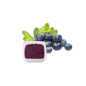 OEM Available Blueberry Sweet Bulk Style Packaging Blueberry freeze-dried powder
