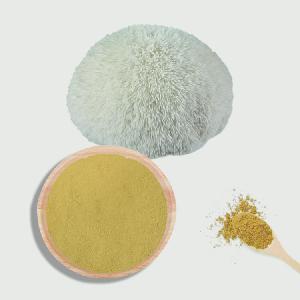 Lions Mane Mushroom Hericium erinaceus Extract Powder