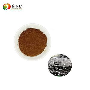 Excellent Quality Organic Turkey Tail Mushroom Powder