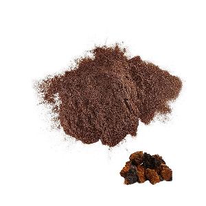20% Beta Glucan Natural Mushroom Powder Organic Chaga Extract