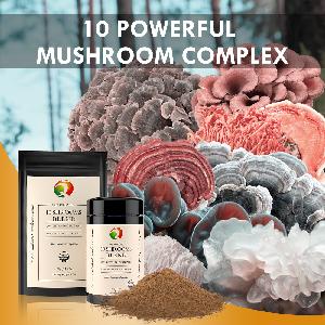 Organic 10 Mushroom Blend 30%  Beta - glucan   Extract  Powder
