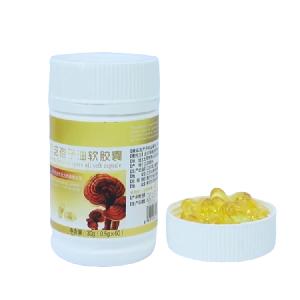 Organic High Quality Reishi Mushroom Spore Oil