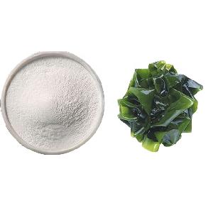 Hot Sale 85% Fucoidan Undaria Pinnatifida Extract
