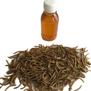 insect oil tenebrio molitor livestock feed additive animal feed additive