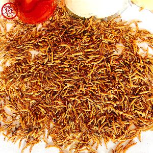 High Protein Dried Mealworms pet food fish food bird food