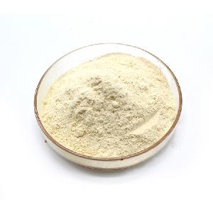 Pure AD garlic powder 100-120Mesh