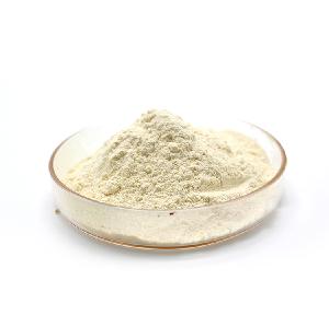 Pure garlic powder 100-120Mesh