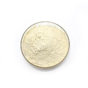 Pure garlic powder 100-120Mesh