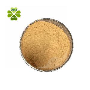 New  product  Food Grade Free  sample  flaxseed extract 20% 40% secoisolariciresinol diglucoside powder
