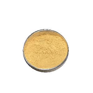  Nutrition  Enhancers fruit powder Instant Green Kumquat powder