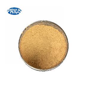 Wholesale High Quality Noni Extract powder