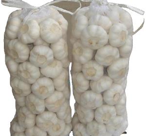 Cheap price fresh gralic for export  5 -6  cm  pure white