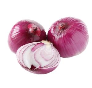 High  Nutrition  Red  Onion  Fresh Organic Red  Onion  from China