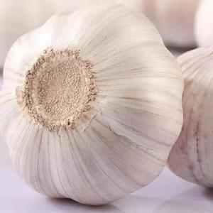 New  crop   garlic  fresh normal white with peel wholesale