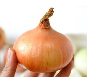 Most popular organic fresh yellow onions
