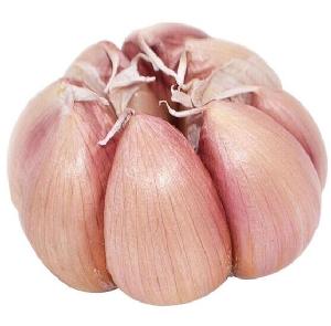 In  bulk  besh packing shandong  organic   garlic 