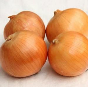 In bulk wholesale Chinese fresh onions red/yellow onions hot selling