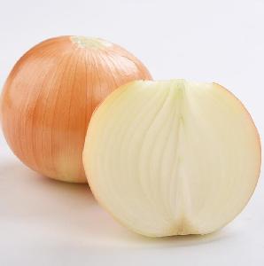 China premium fresh onion exporter red/ yellow onion in bulk wholesale