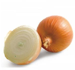 High quality  organic  fresh  yellow   onion 