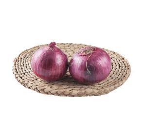 Mesh Bag Packing Red / Yellow Fresh Onion Export To Dubai