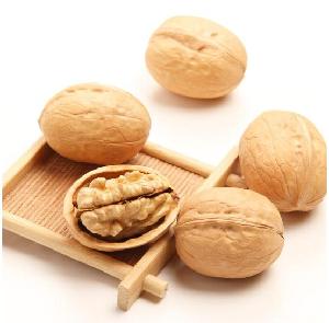 Produced in China Natural Walnut inshell Dried Fruit
