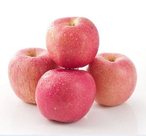 New crop Chinese Fresh Style Pome Fruit Product Type Red Fuji apple