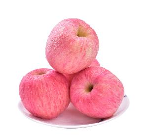 Best Quality Big Fresh Apples Fruit Selected from Apple Fruit Orchard