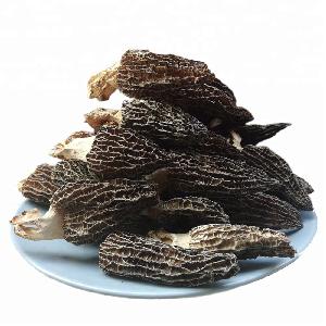 Wholesale Price Dried Fresh Black Morel Mushroom For Sale