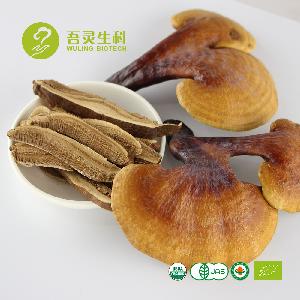 Juncao Ganoderma Dried Mushroom Red Reishi Slice with Private Label Package