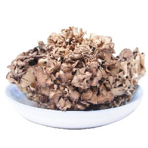 dried maitake high quality Dried Mushrooms bulk sale price healthy