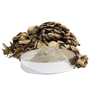 30% beta glucan Anti-tumor boost immune system Cheap price Organic Maitake Mushroom extract